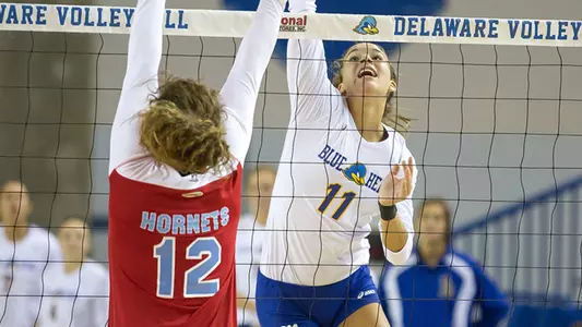 University of Delaware Volleyball Opens Harvard Invitational with 3-1 Victory Over Central Connecticut