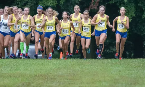 Delaware Harriers Close Out Regular Season Saturday at Princeton Invitational