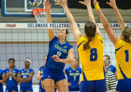 Delaware Suffers Three-Set Loss To Hofstra at CSB