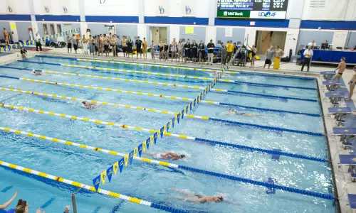 Delaware Swimmers Off to Strong Start at Franklin & Marshall Invitational