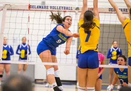 Blue Hens Head North To Face Northeastern, Hofstra in Final Road Matches