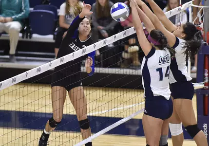 Jenkins Leads Blue Hens To Impressive Four-Set Win at UNCW