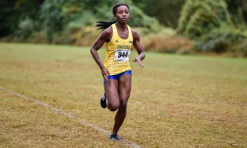 Cross Country Finishes Second at Blue & Gold Invitational
