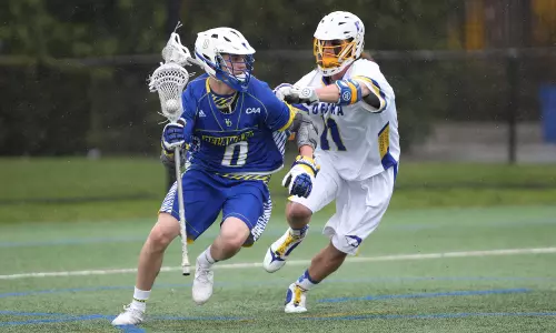 Slow Start Hurts Hens, Delaware Falls to Hofstra 13-7 in CAA Battle