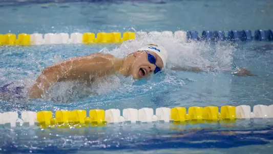 Hens Receive Strong Performances But Fall in Regular Season Finale at Towson