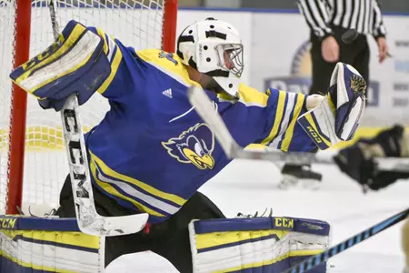 Hockey Clinics- Spring 2018 Puck Control & Power Skating Register for both clinics and save an additional $20