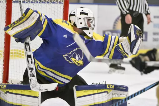 Hockey Clinics- Spring 2018 Puck Control & Power Skating Register for both clinics and save an additional $20