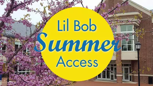 Student Summer Access