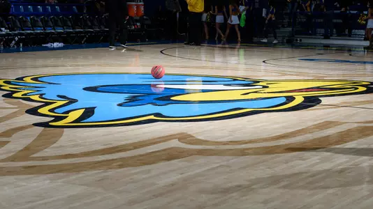 Bob Carpenter Center Floor basketball
