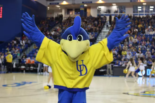 2019-2020 Delaware Mascot Tryouts