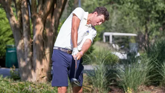 mgolf19-pulgini4