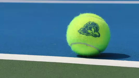 Generic Tennis Ball
