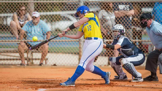 soft19-steinmetz2-butler