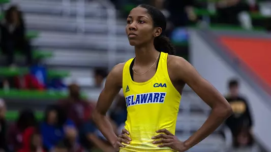 TF-GreatDaneClassic2020-MainPic