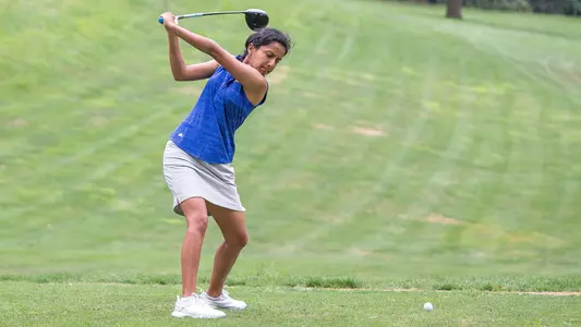 wgolf20-desai6