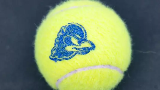 Tennis Ball generic
