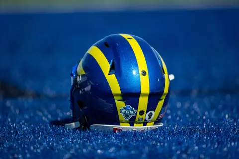 Delaware Football Helmet