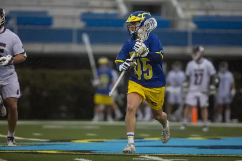 Cam Acchinone