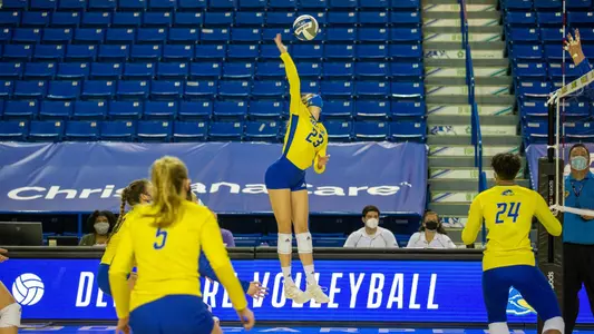 VB vs. Hofstra