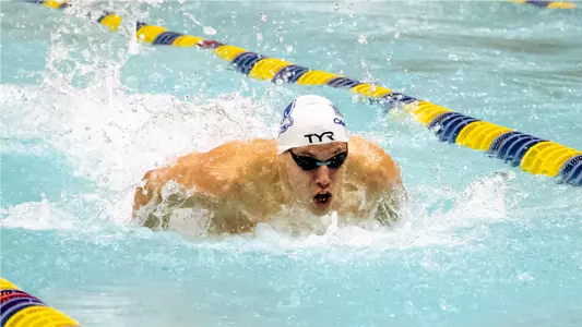 MSWIM