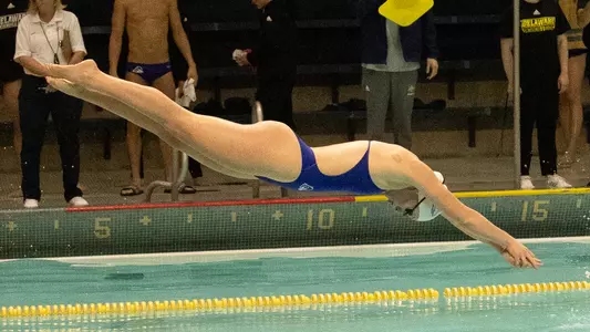 WSWIM