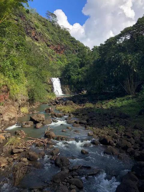 lizzie gaebel hawaii