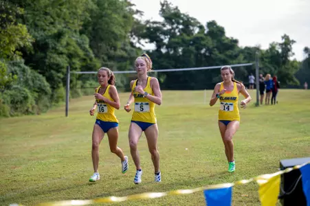 Delaware Opener Finish