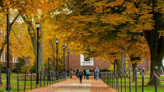Campus in the fall.