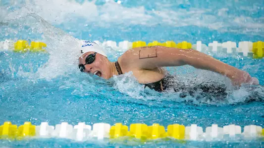 WSWIM