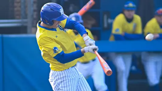 lesher hofstra