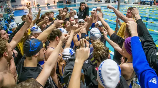 S&D Schedule Release