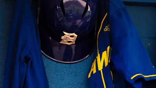 Baseball weather delay