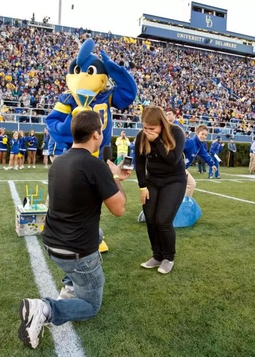 UD Proposal On The Field Paid Expereince