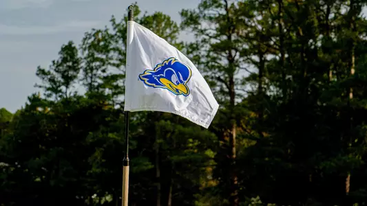 Golf Flag