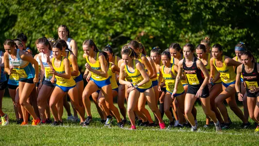 All-Academic Team Release