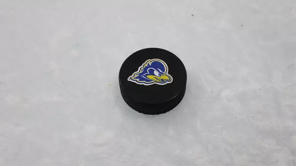 Puck on Ice