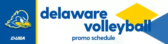 volleyballpromoheader