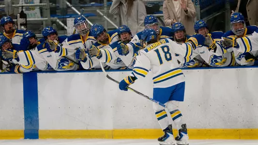 Ice Hockey Inaugural Game vs. LIU