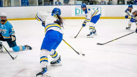Ice Hockey Inaugural Game vs. LIU
