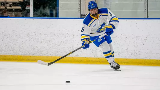 Ice Hockey Inaugural Game vs. LIU