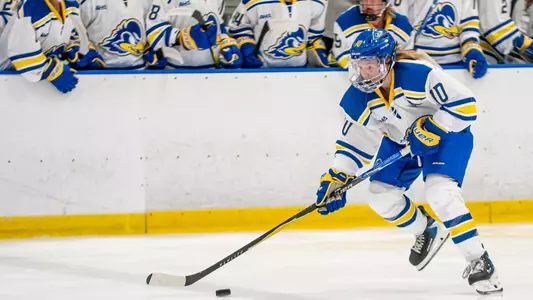 Ice Hockey Inaugural Game vs. LIU