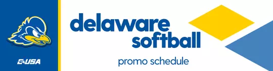 Softball Promo Header