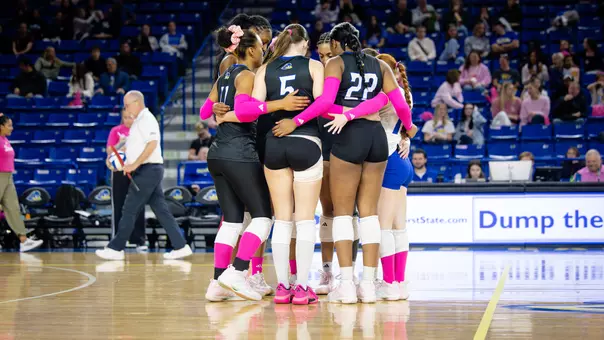 VB Team