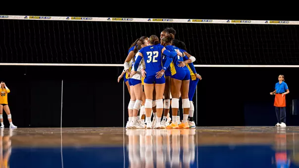 Volleybal