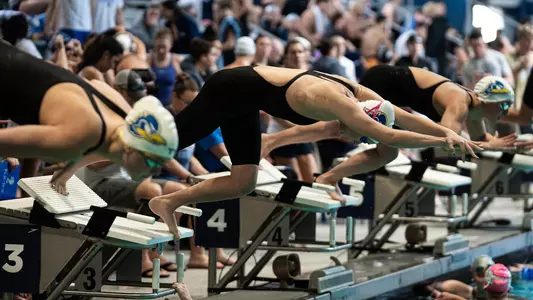 Women's Swimming at ASUN Championships 2025-26