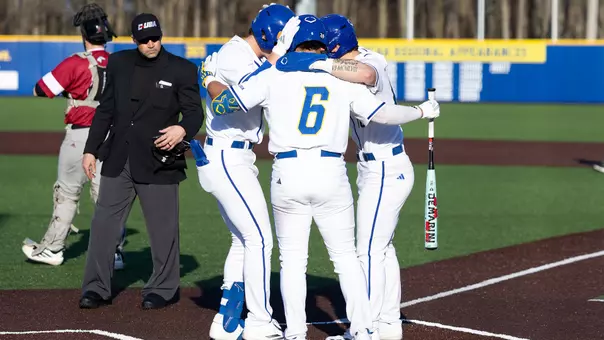 Baseball Home Run Celebration