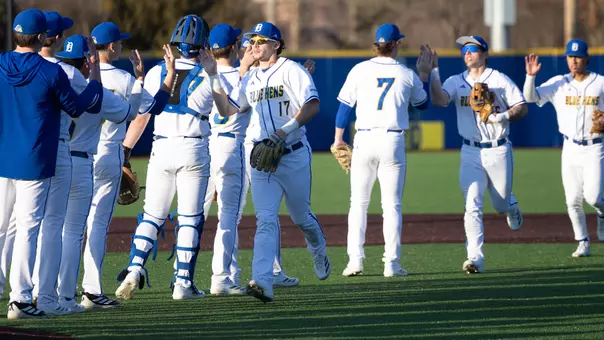 Baseball celebration