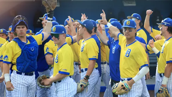 Baseball Huddle photo