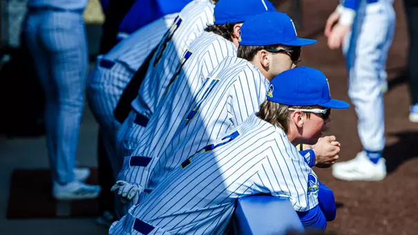 Baseball recap photo