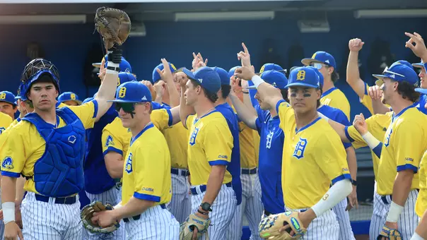 Baseball huddle photo